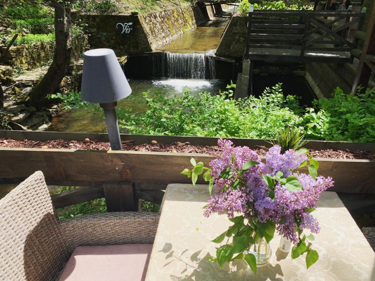Garni Hotel Vir Vrnjačka Banja Exteriör bild