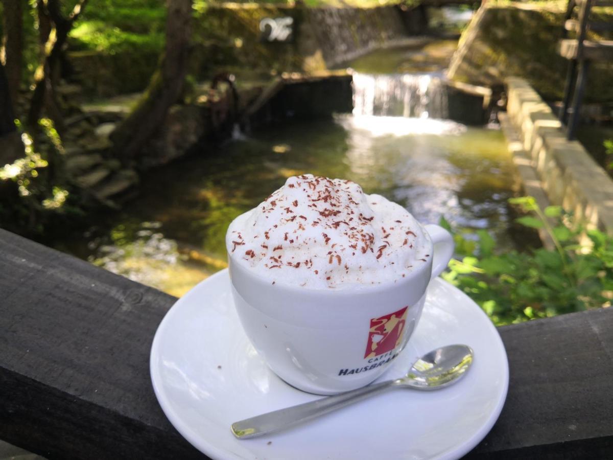 Garni Hotel Vir Vrnjačka Banja Exteriör bild